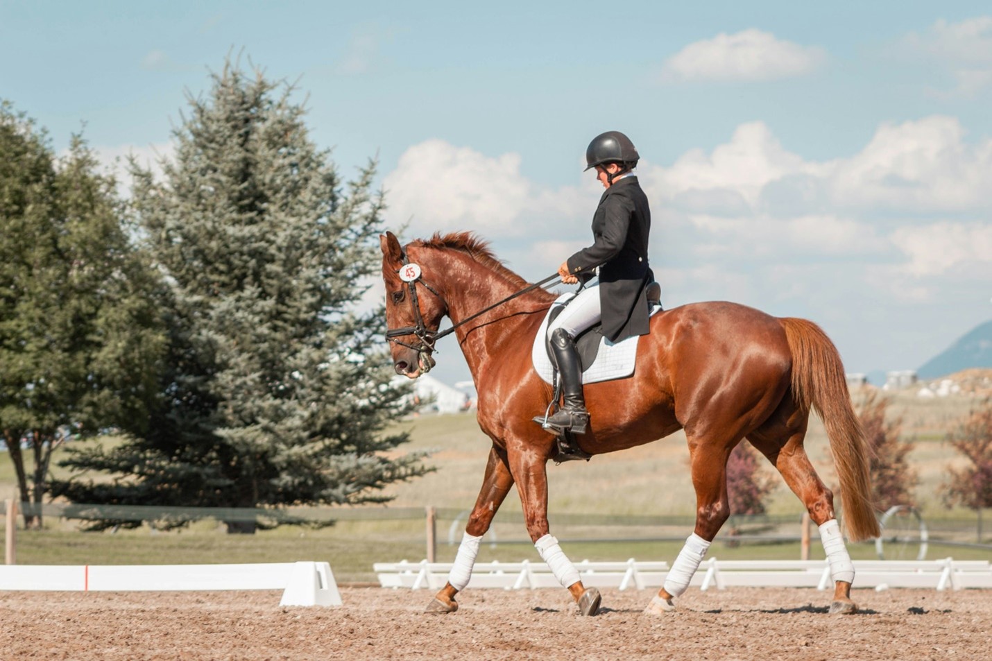How Rider Basic Horeriding – Rider’s Life